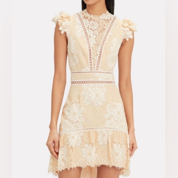 SAYLOR Dresses & Skirts - Saylor Kelly Lace Mini Dress